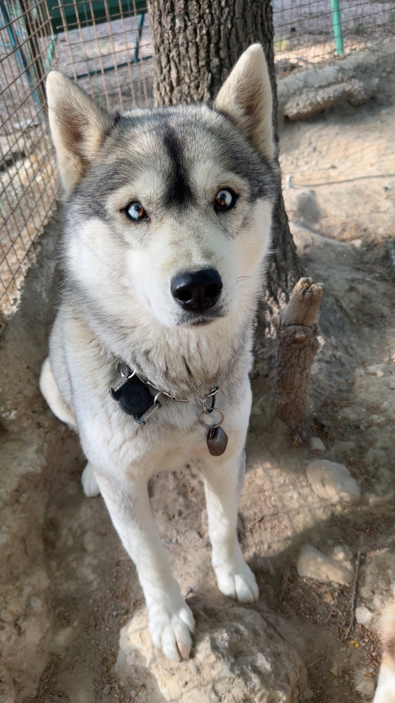 Ultra Des Loups Du Luberon